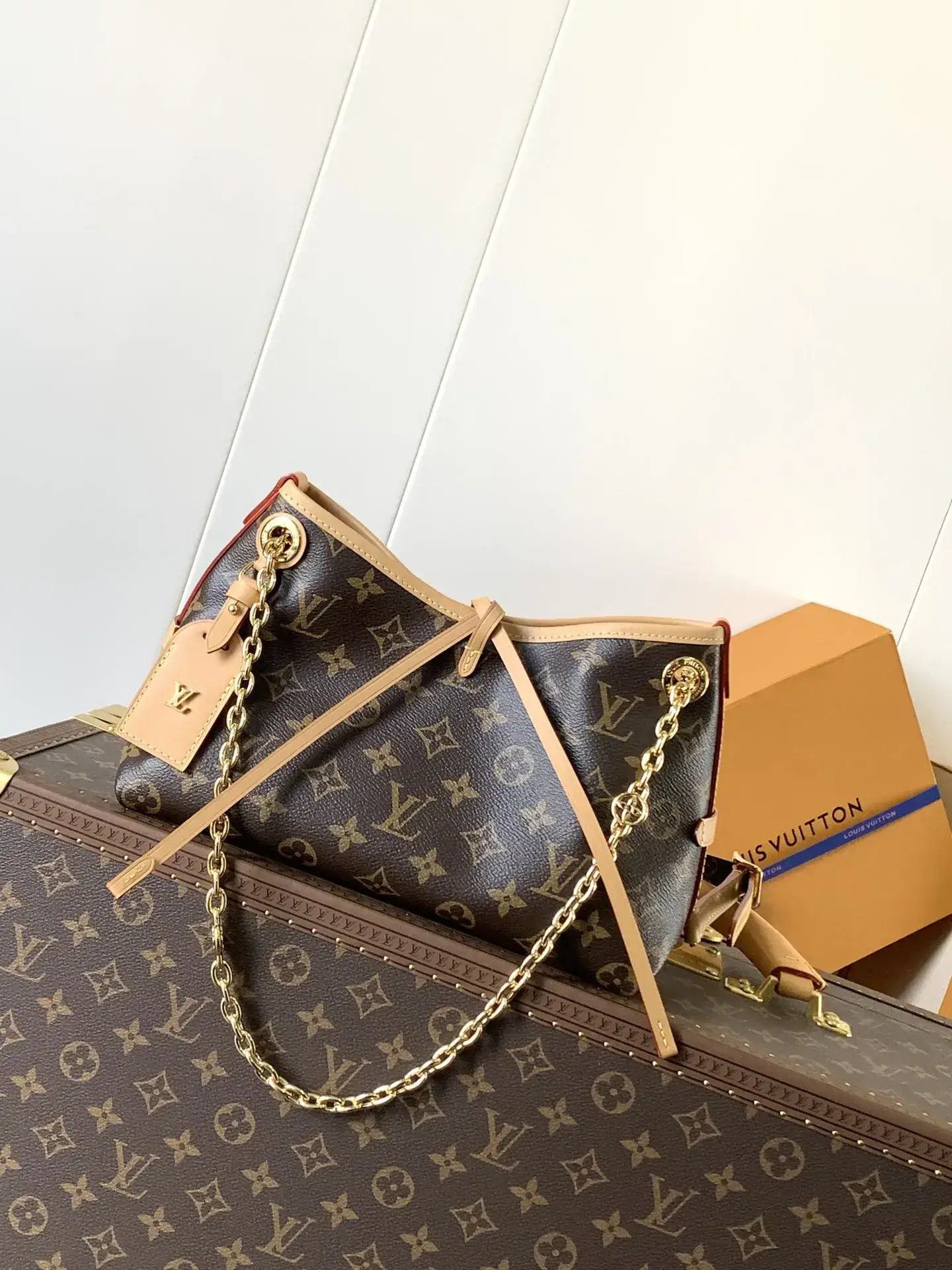 Louis Vuitton Monogram Canvas Shoulder Bag product photo from LabelPicks
