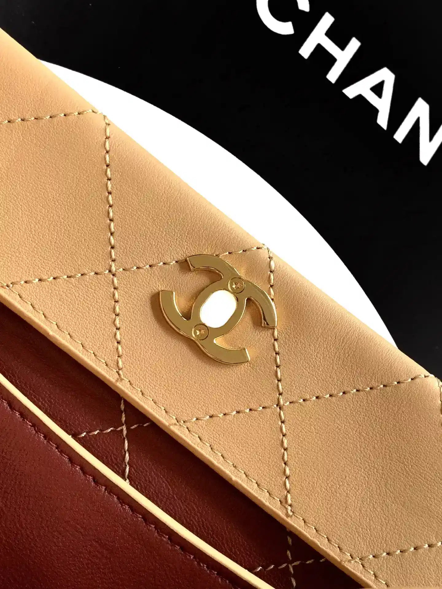 Chanel Black Quilted Leather Hobo Bag product photo from LabelPicks