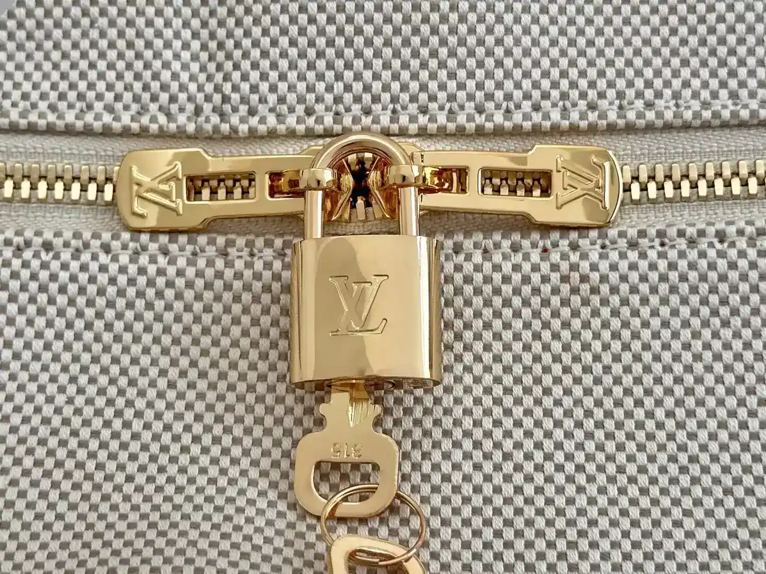 Louis Vuitton Carryall Tote Bag product photo from LabelPicks