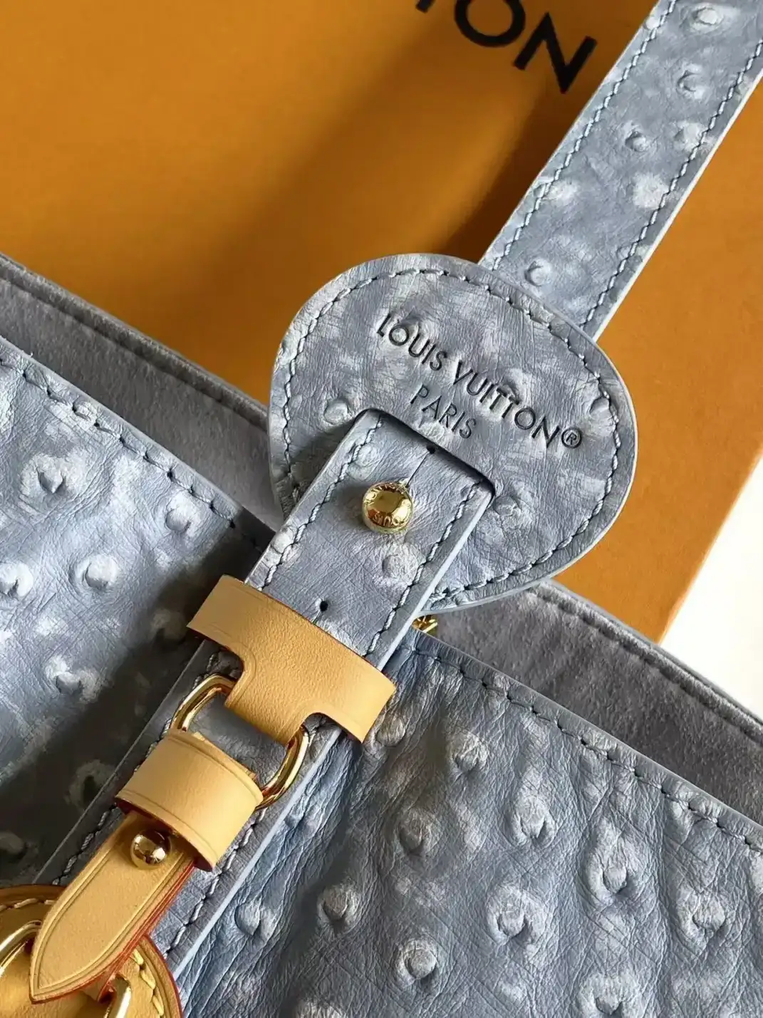 Louis Vuitton Black Grained Leather Bucket Bag product photo from LabelPicks
