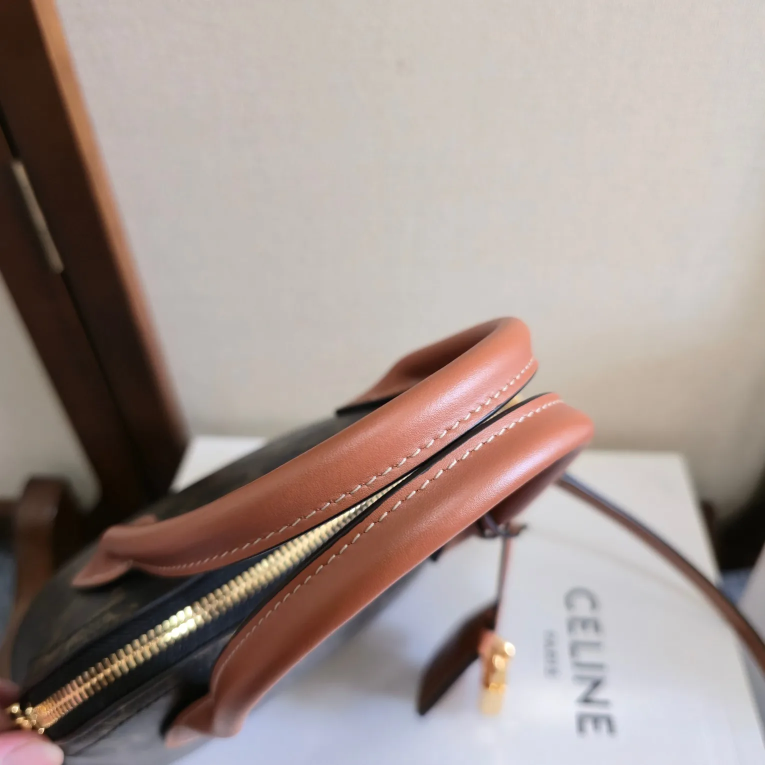 Celine Triomphe Canvas Crossbody Bag product photo from LabelPicks