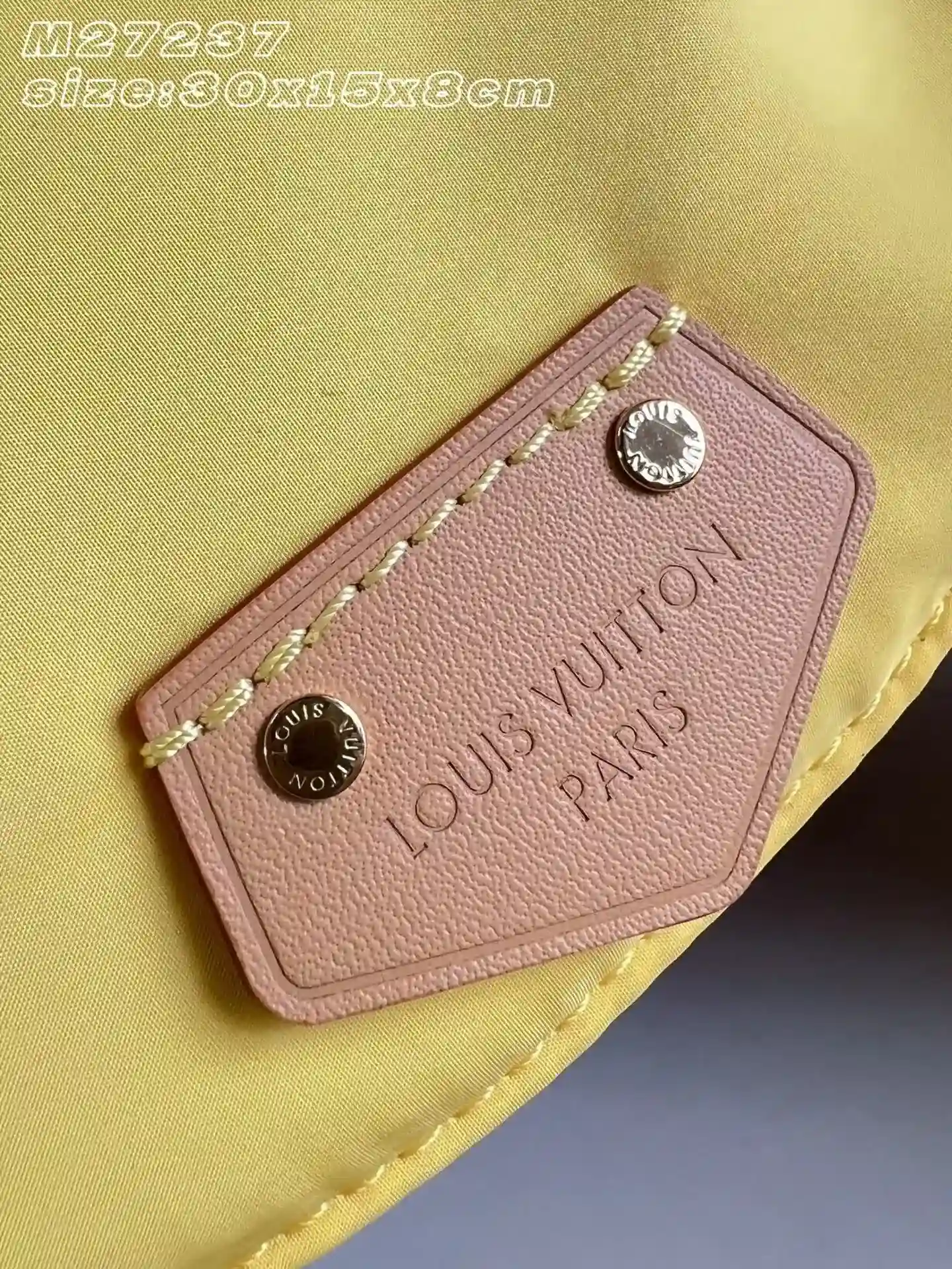 Louis Vuitton Nylon Belt Bag product photo from LabelPicks