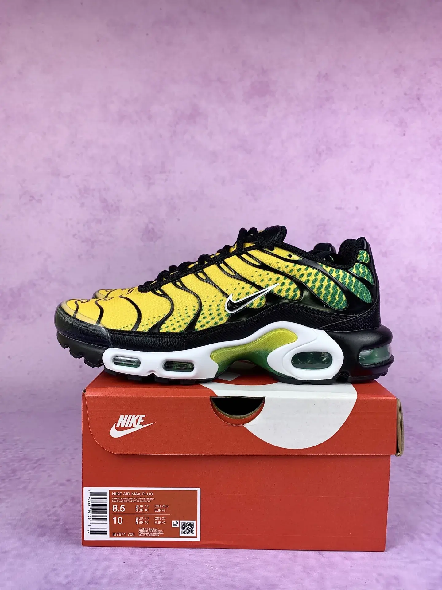 Nike Air Max Plus Shoes product photo from LabelPicks
