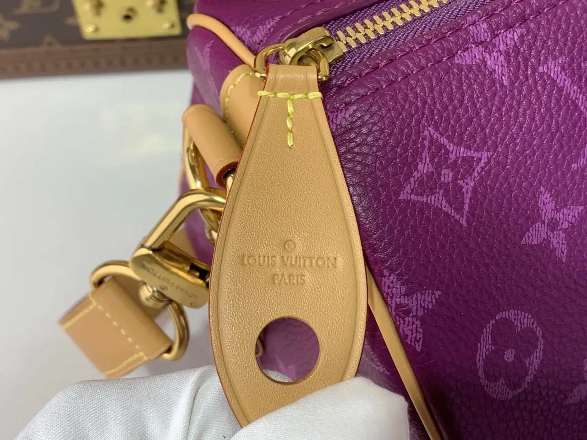 Louis Vuitton Blue Speedy Calfskin Top Handle Bag product photo from LabelPicks