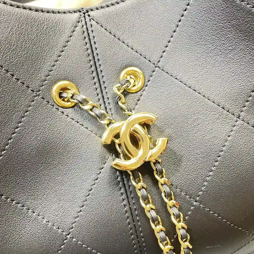 Chanel Soft Hobo Bag product photo from LabelPicks