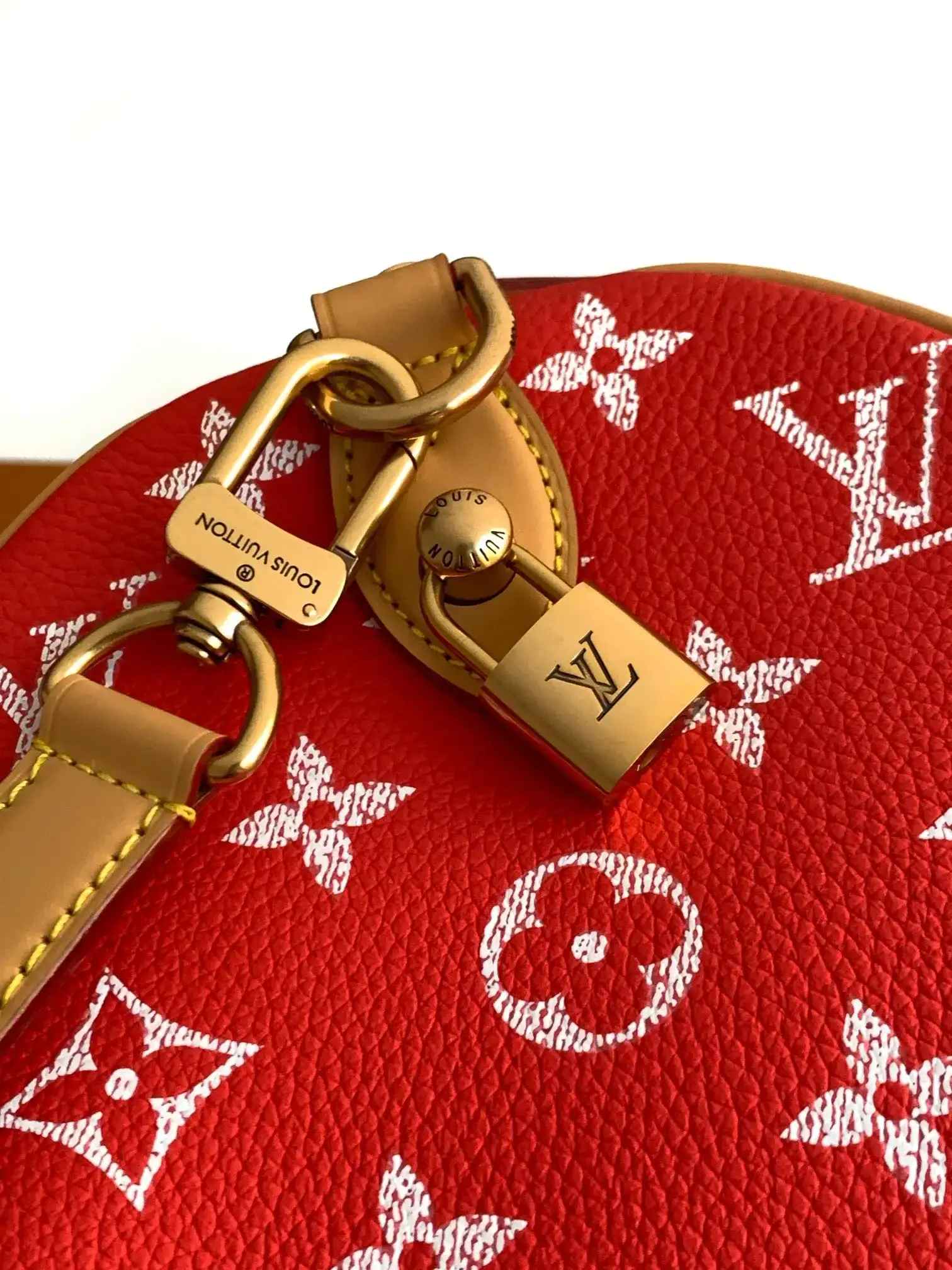 Louis Vuitton Grained Leather Top Handle Bag product photo from LabelPicks