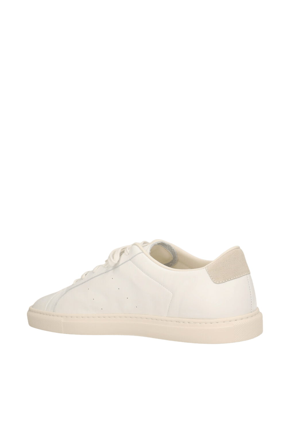 COMMON PROJECTS נעלי סניקרס עור