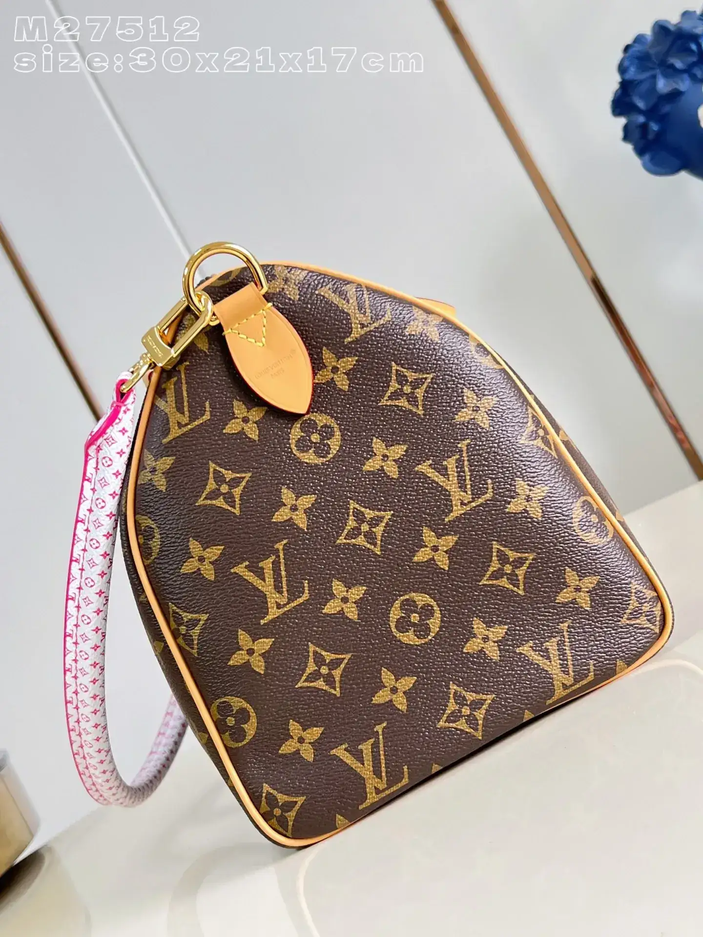 Louis Vuitton Nylon Speedy Top Handle Bag product photo from LabelPicks