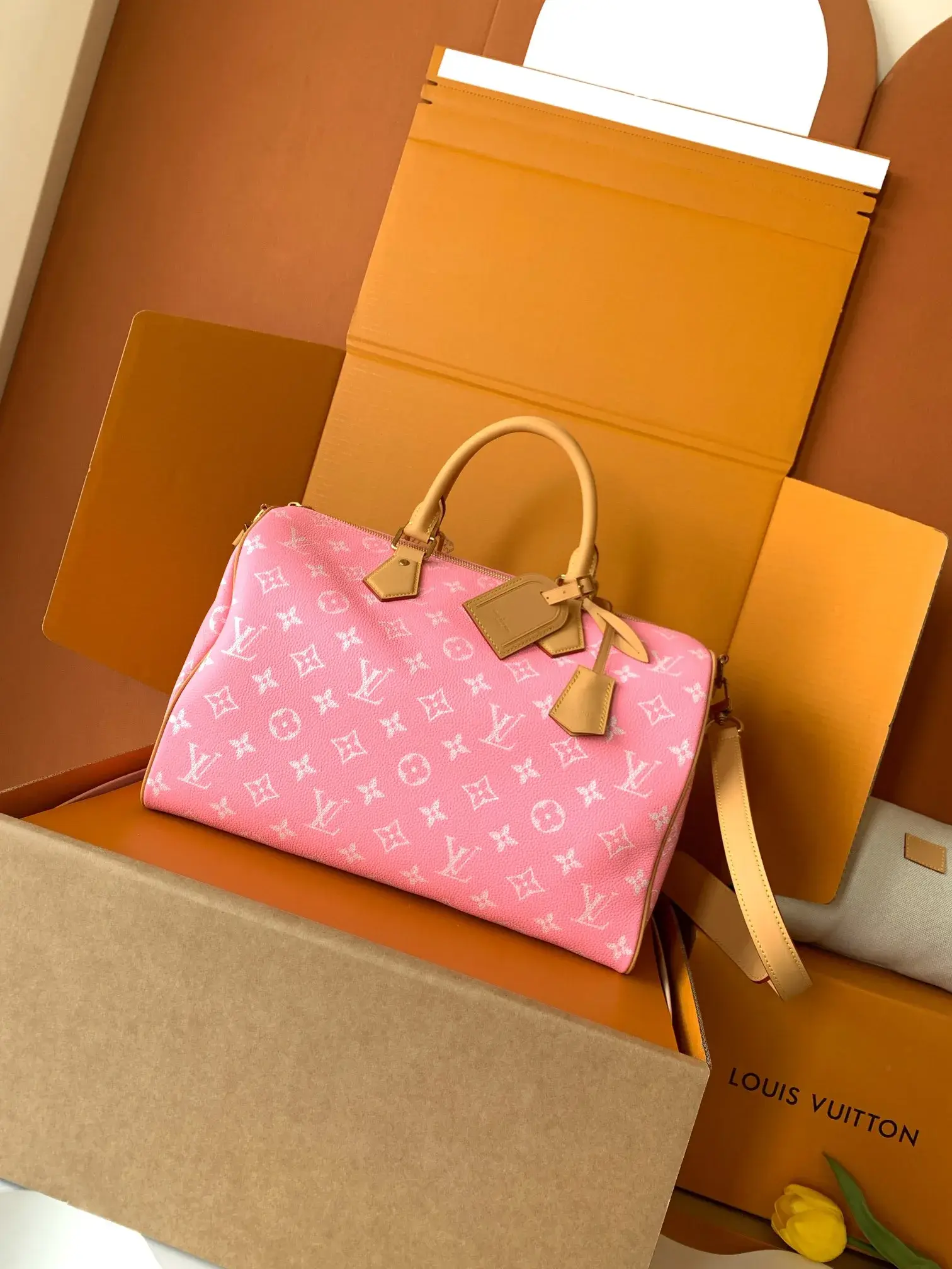 Louis Vuitton Speedy Gold Lambskin Top Handle Bag product photo from LabelPicks