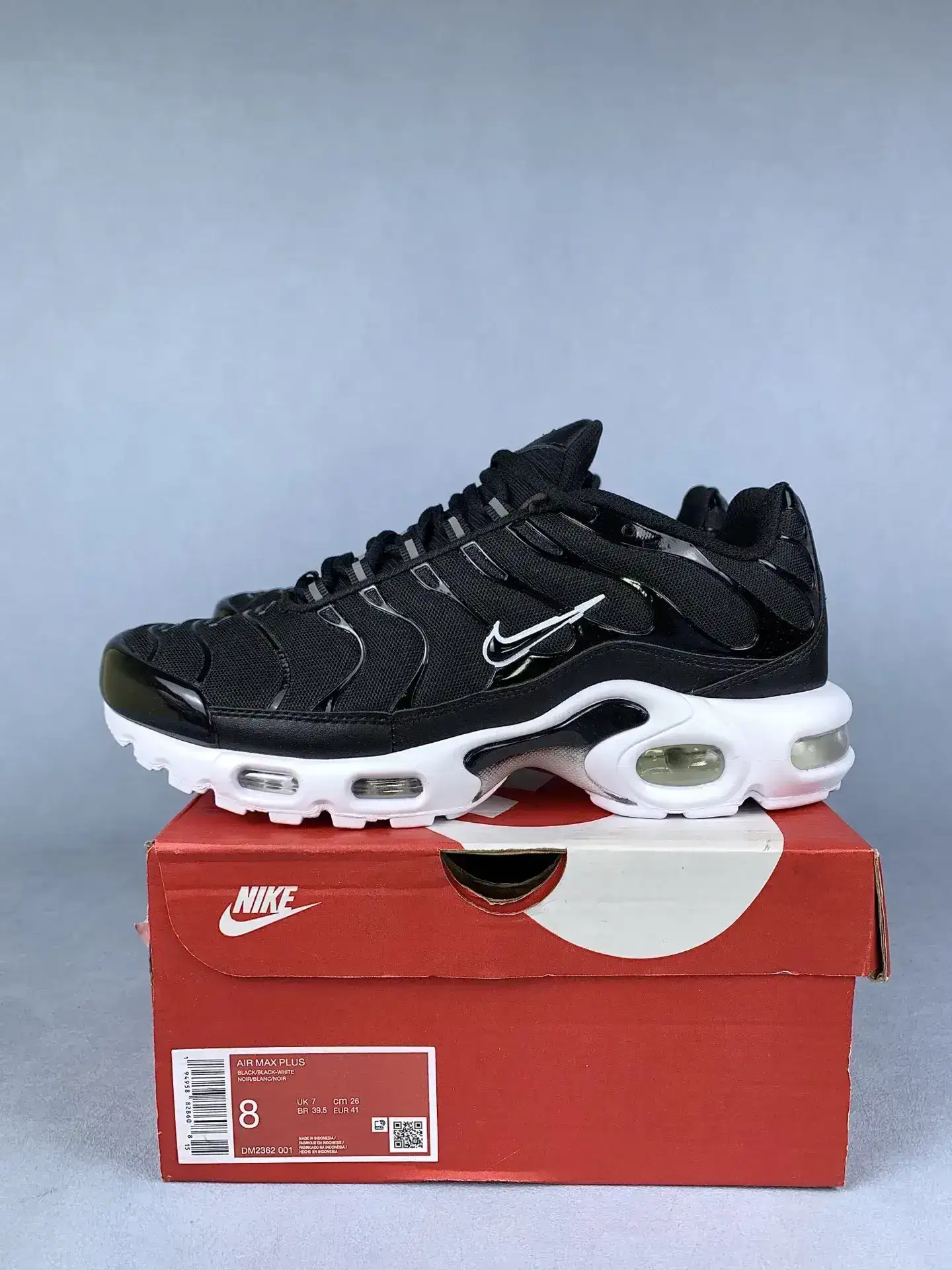 Nike Air Max Plus Shoes product photo from LabelPicks