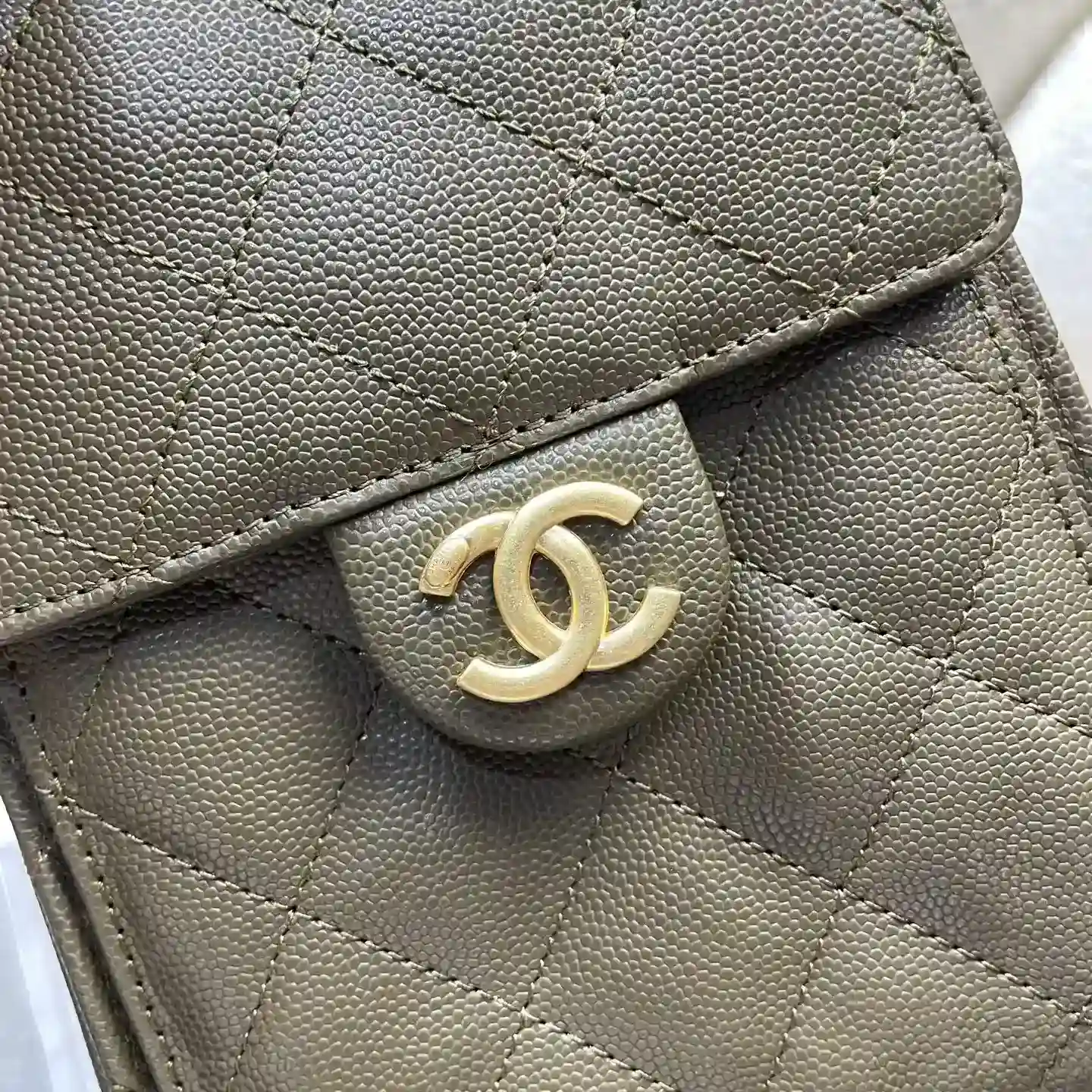 Chanel Roomy Tote Bag product photo from LabelPicks
