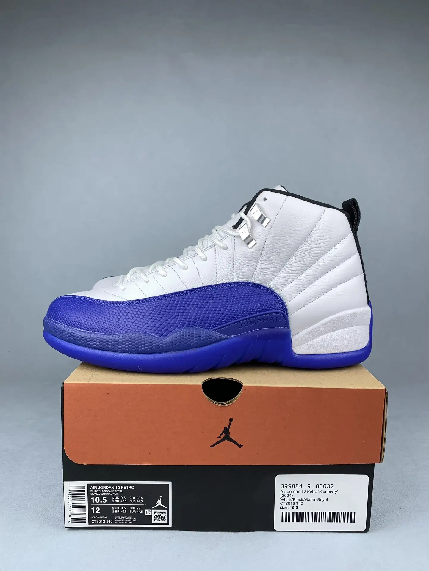 Air Jordan 12 Retro 