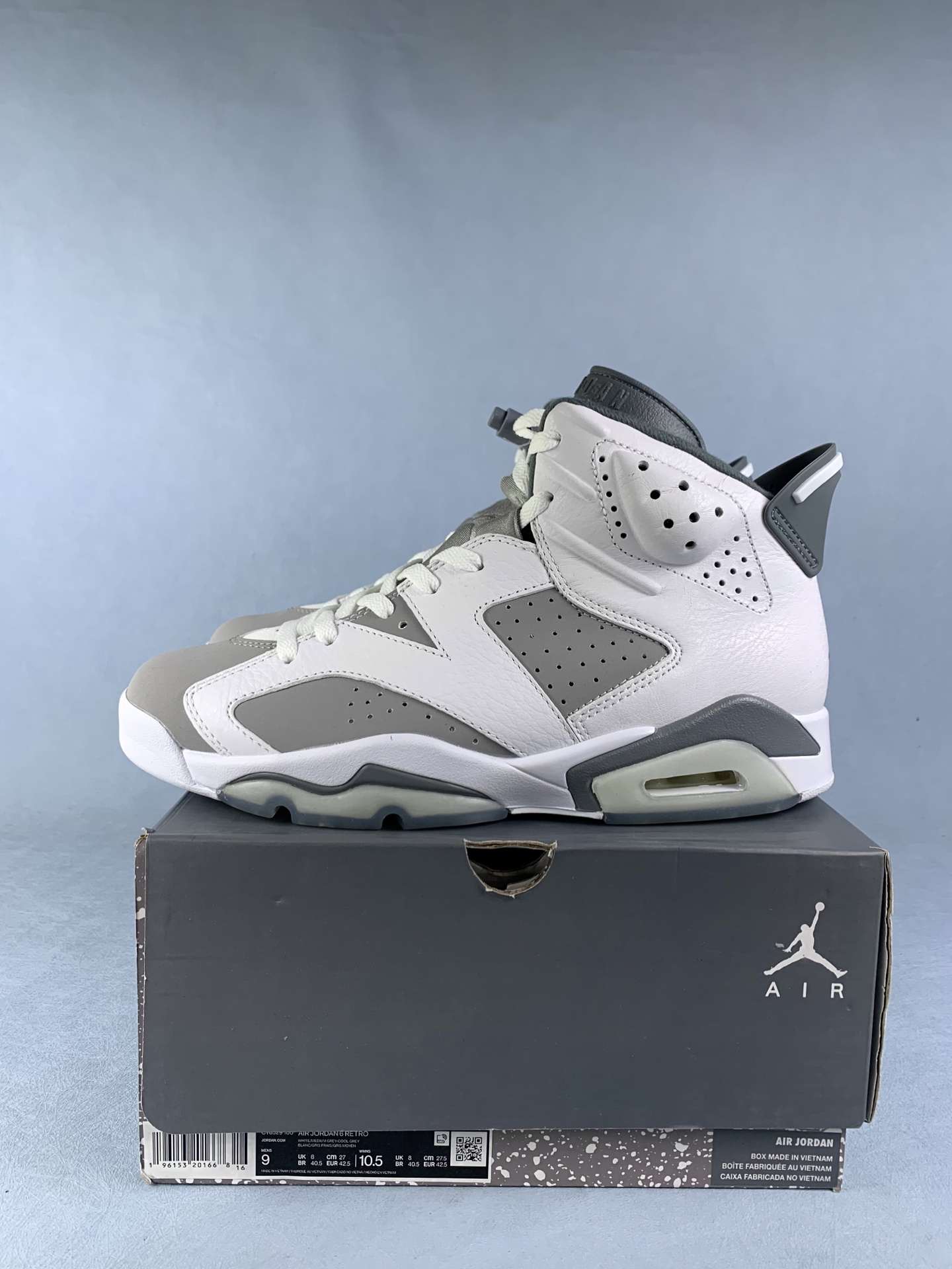 Air Jordan 6 Retro 
