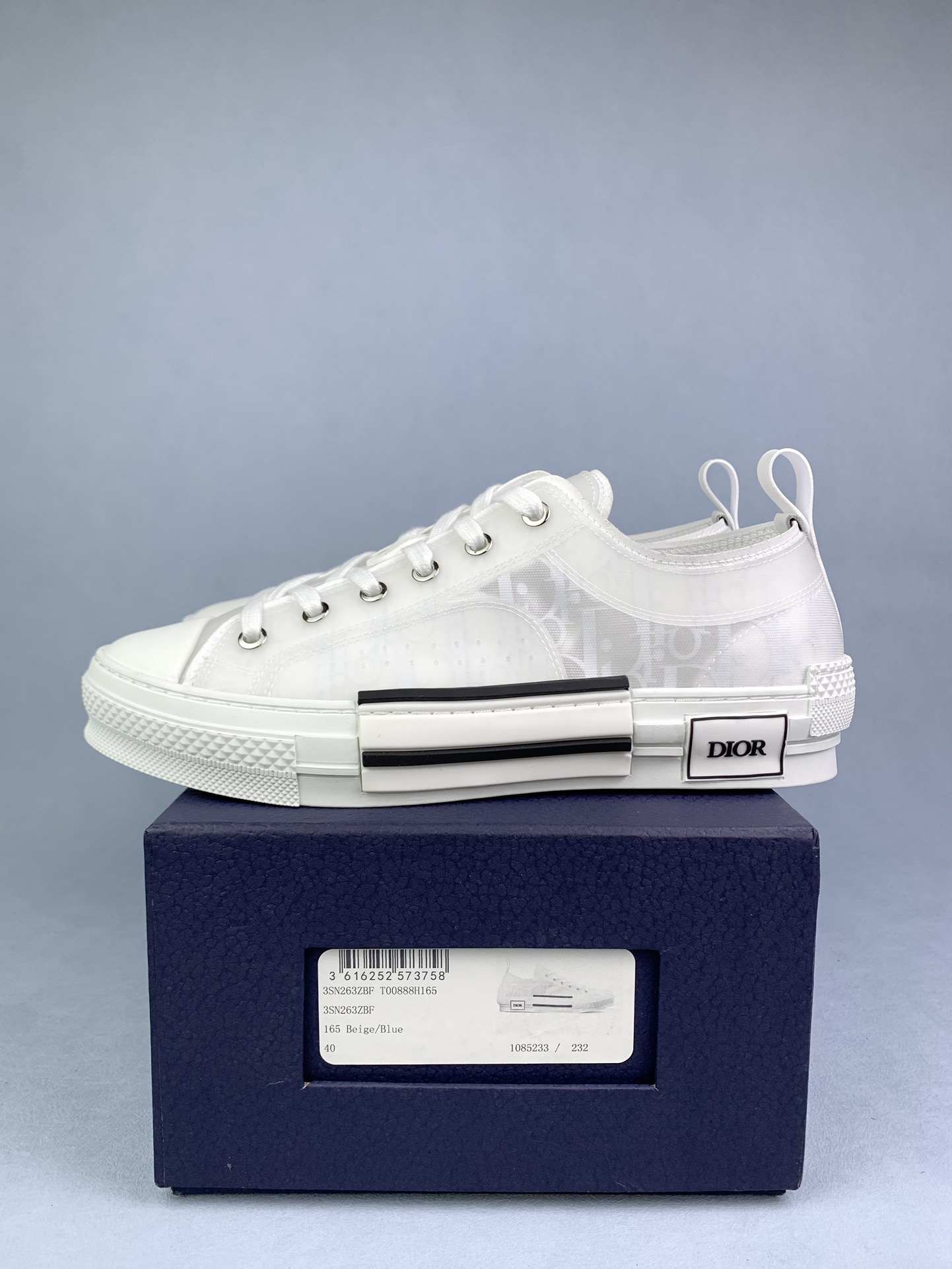 Dior B23 Low-Top Sneaker