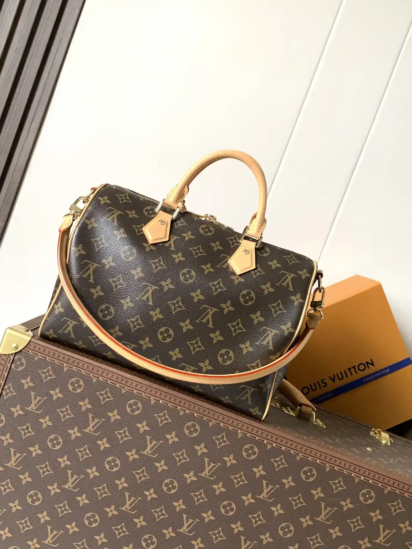 Louis Vuitton Speedy Monogram Canvas Top Handle Bag product photo from LabelPicks