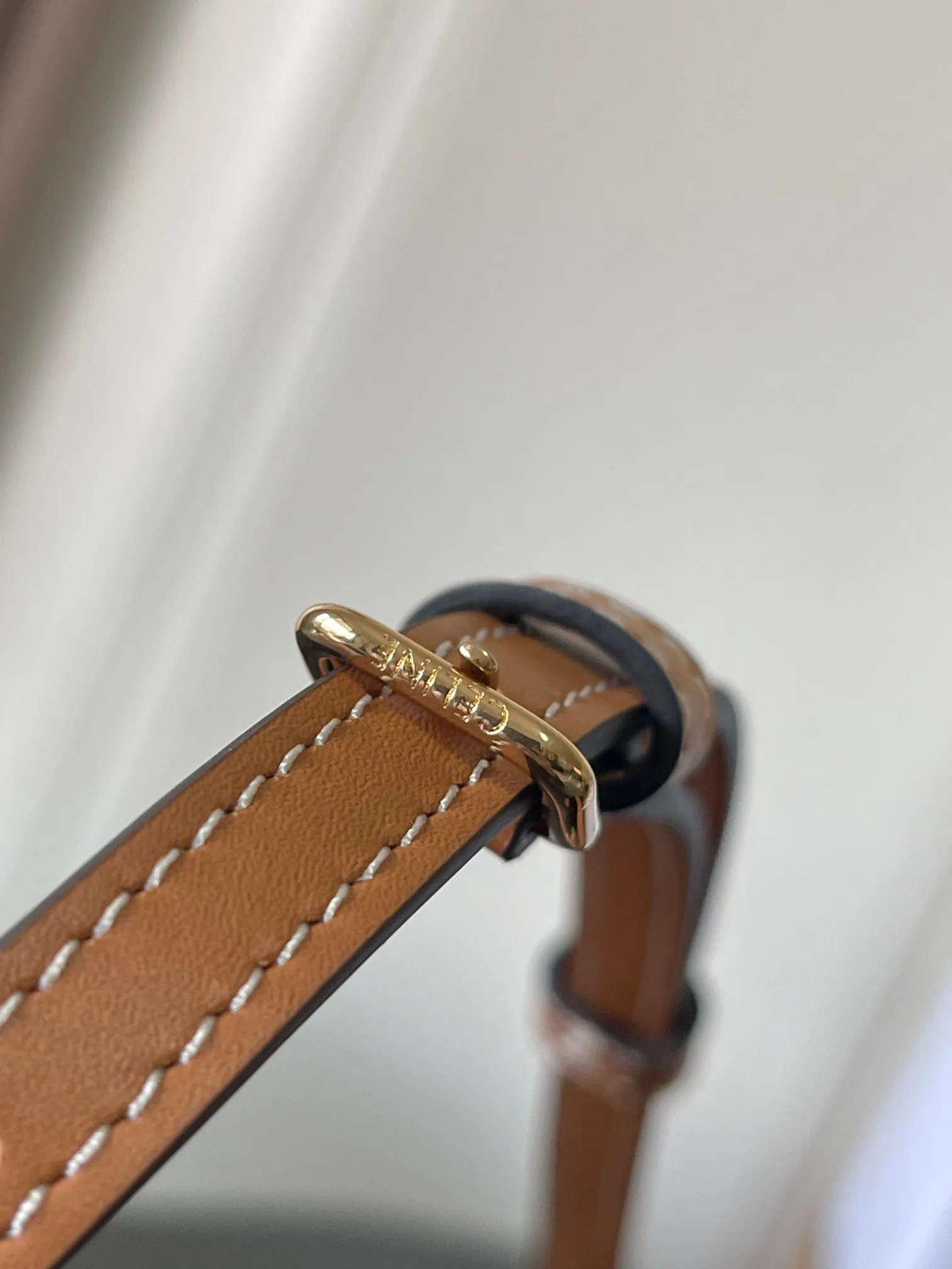Celine Day-To-Night Crossbody Bag product photo from LabelPicks