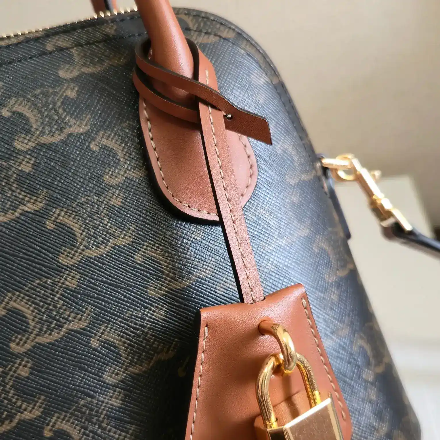Celine Triomphe Canvas Crossbody Bag product photo from LabelPicks