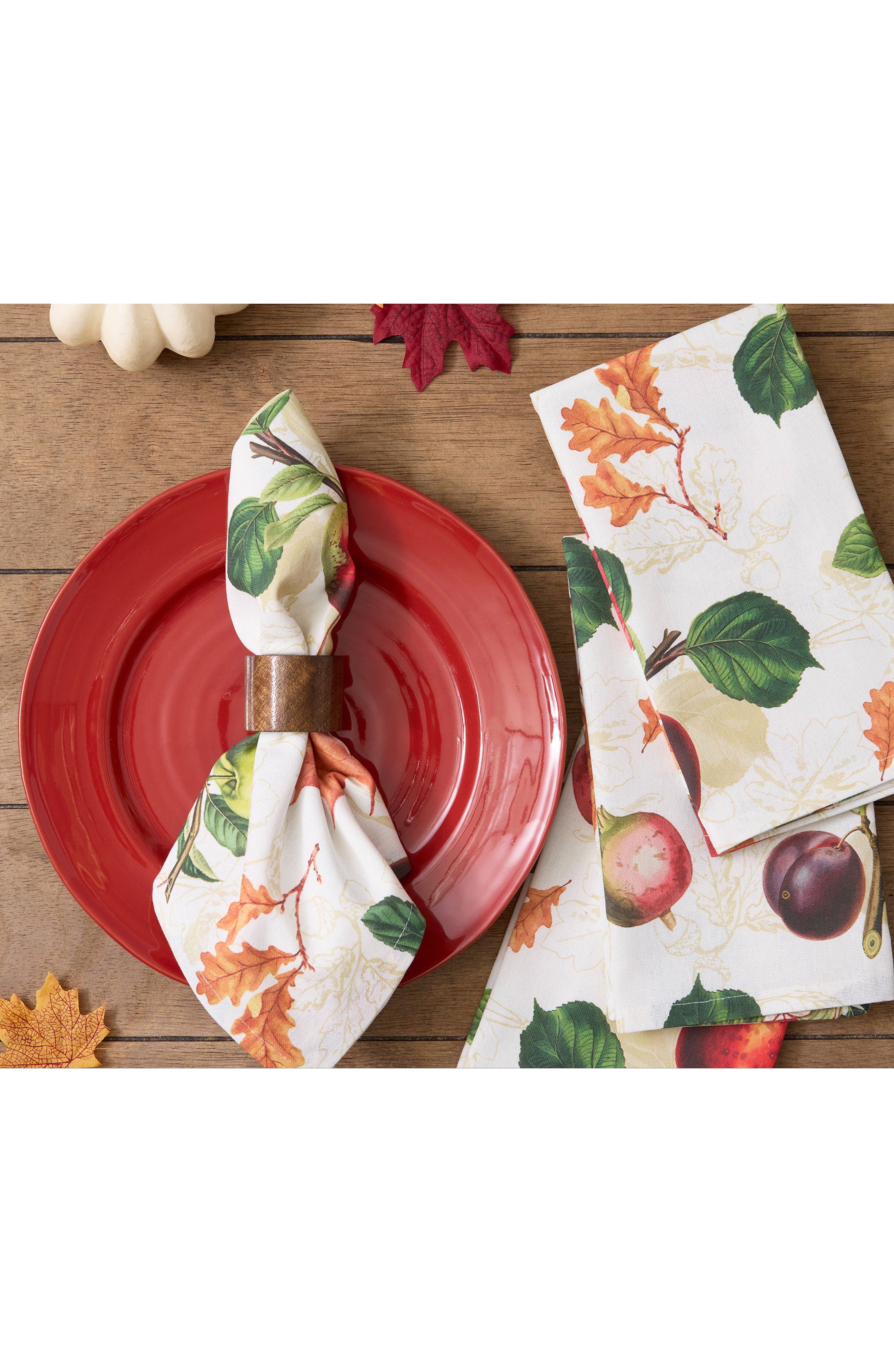 Design Imports Orchard Botanical 4-Piece Napkin Set