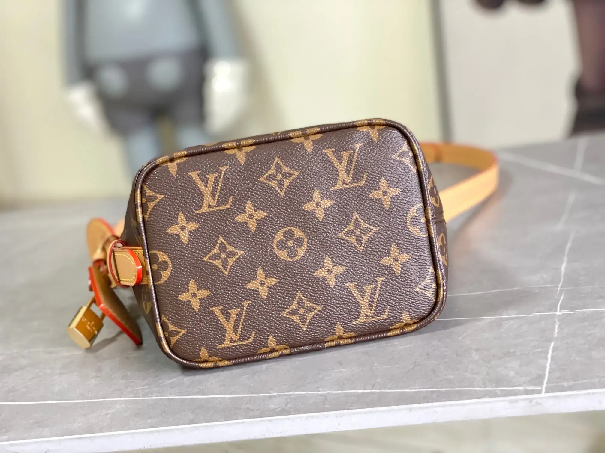 Louis Vuitton Canvas and Leather Bucket Bag product photo from LabelPicks