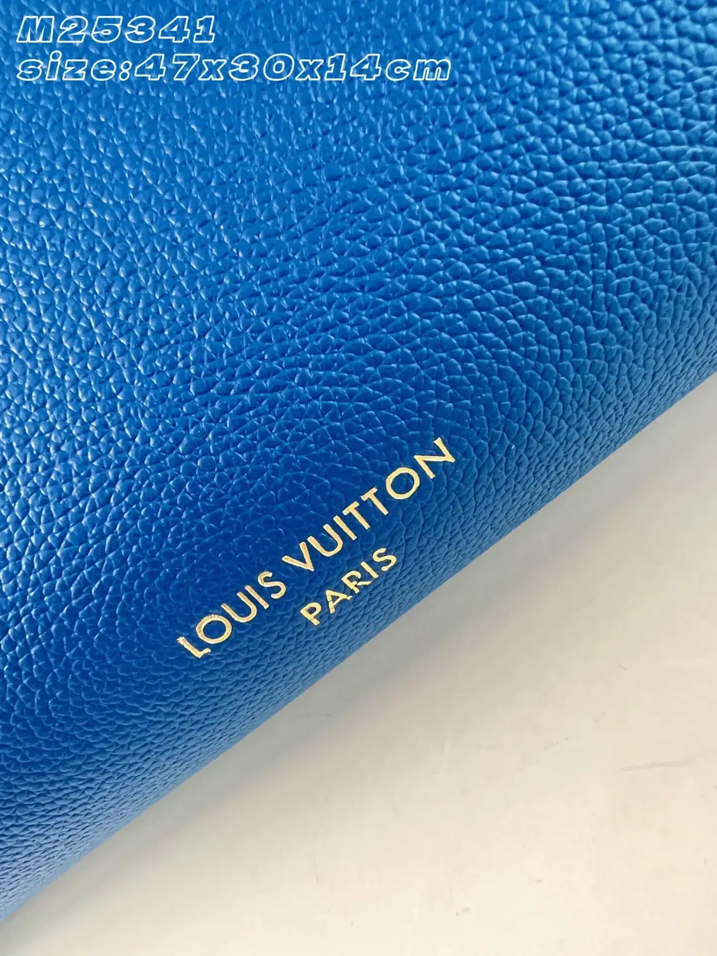 Louis Vuitton Grained Leather Tote Bag product photo from LabelPicks