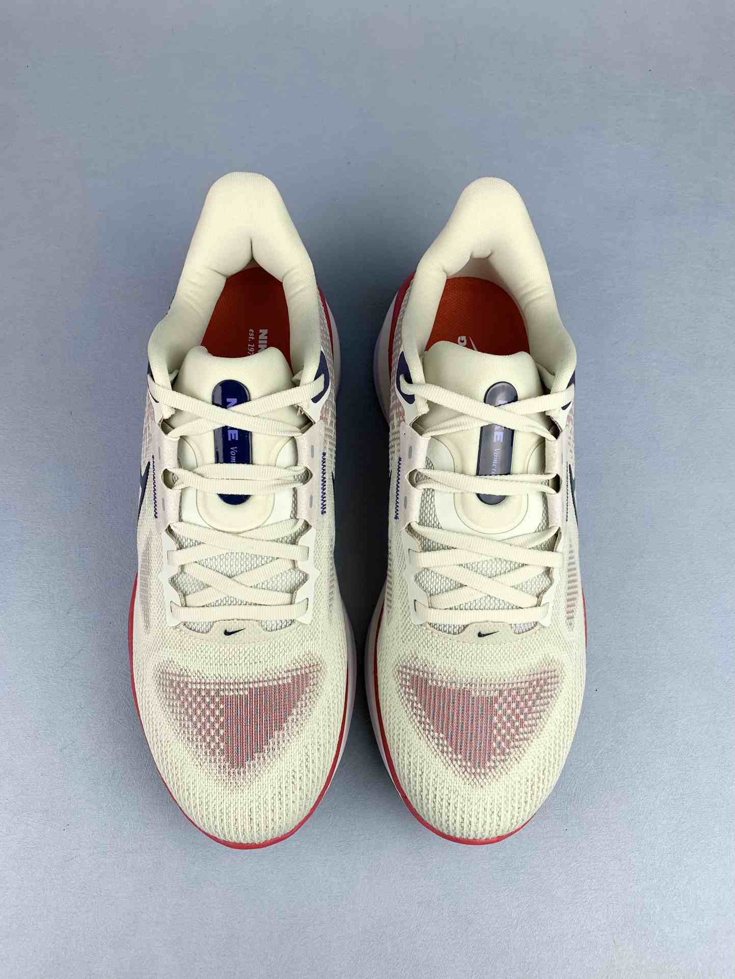 Nike Vomero 17 Shoes