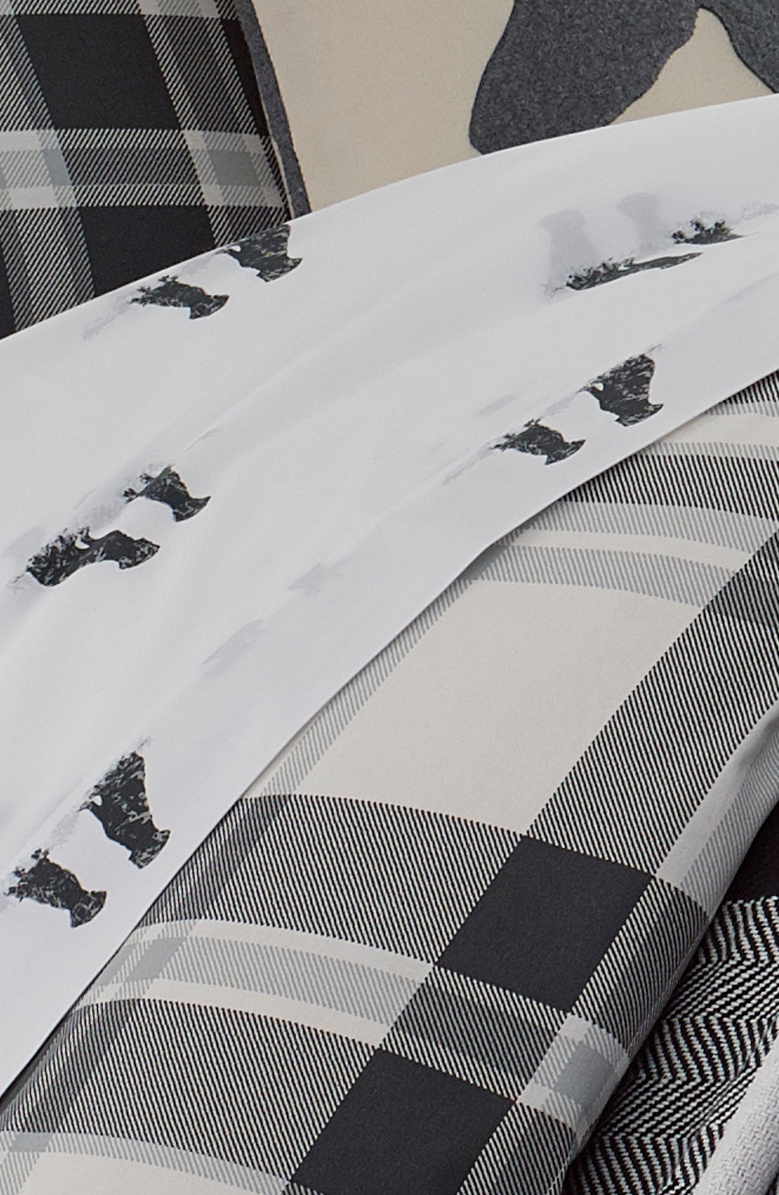 Eddie Bauer Coal Creek Plaid Twin Comforter & Sham Set
