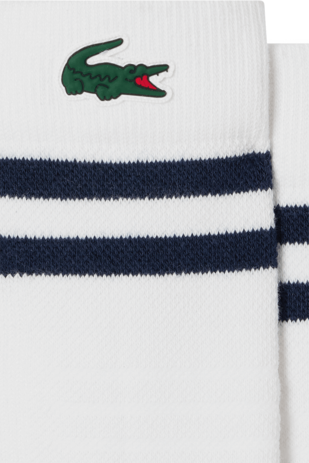 LACOSTE SAMPLE גרביים