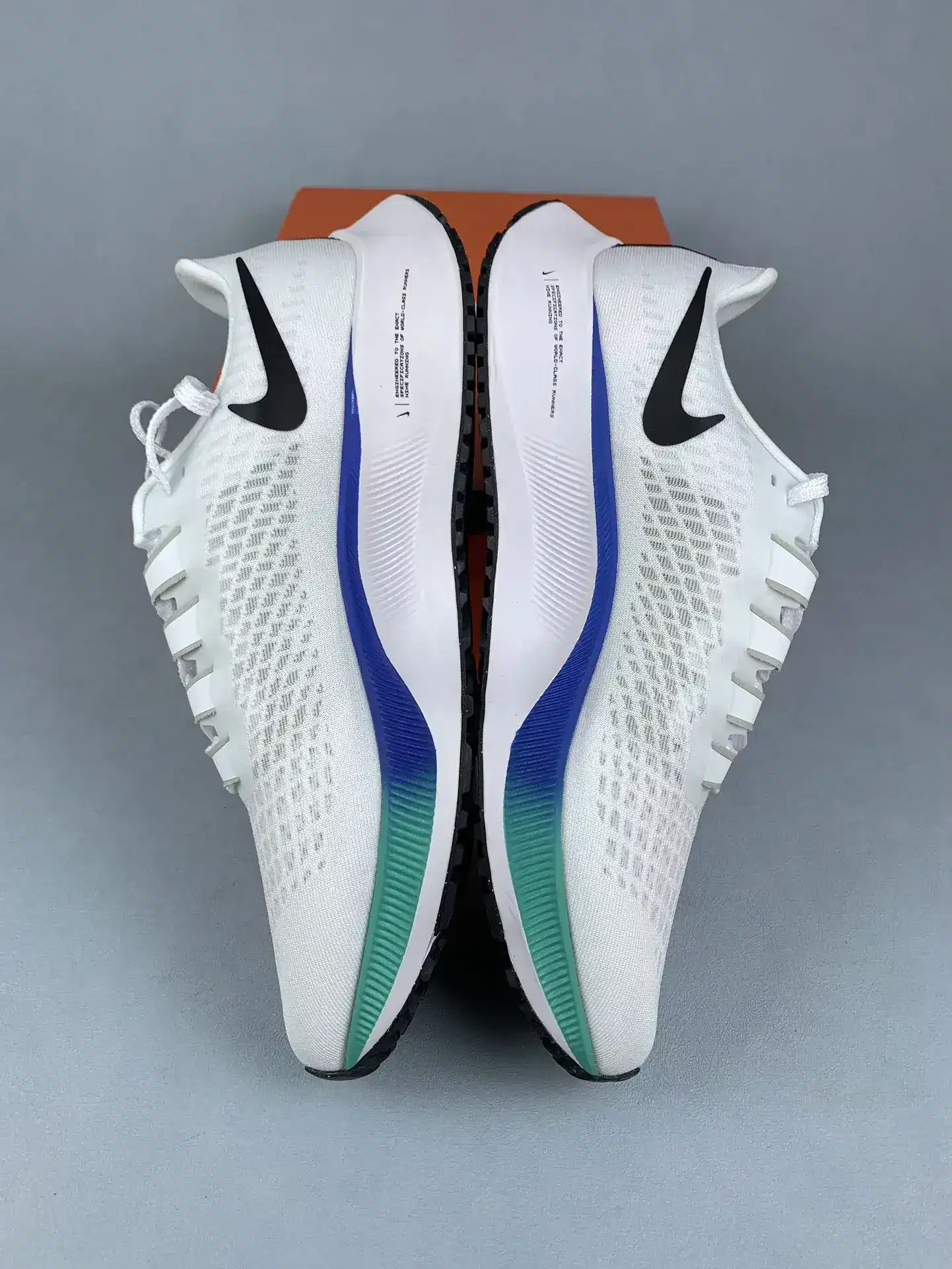 Nike Pegasus 37 Shoes product photo from LabelPicks