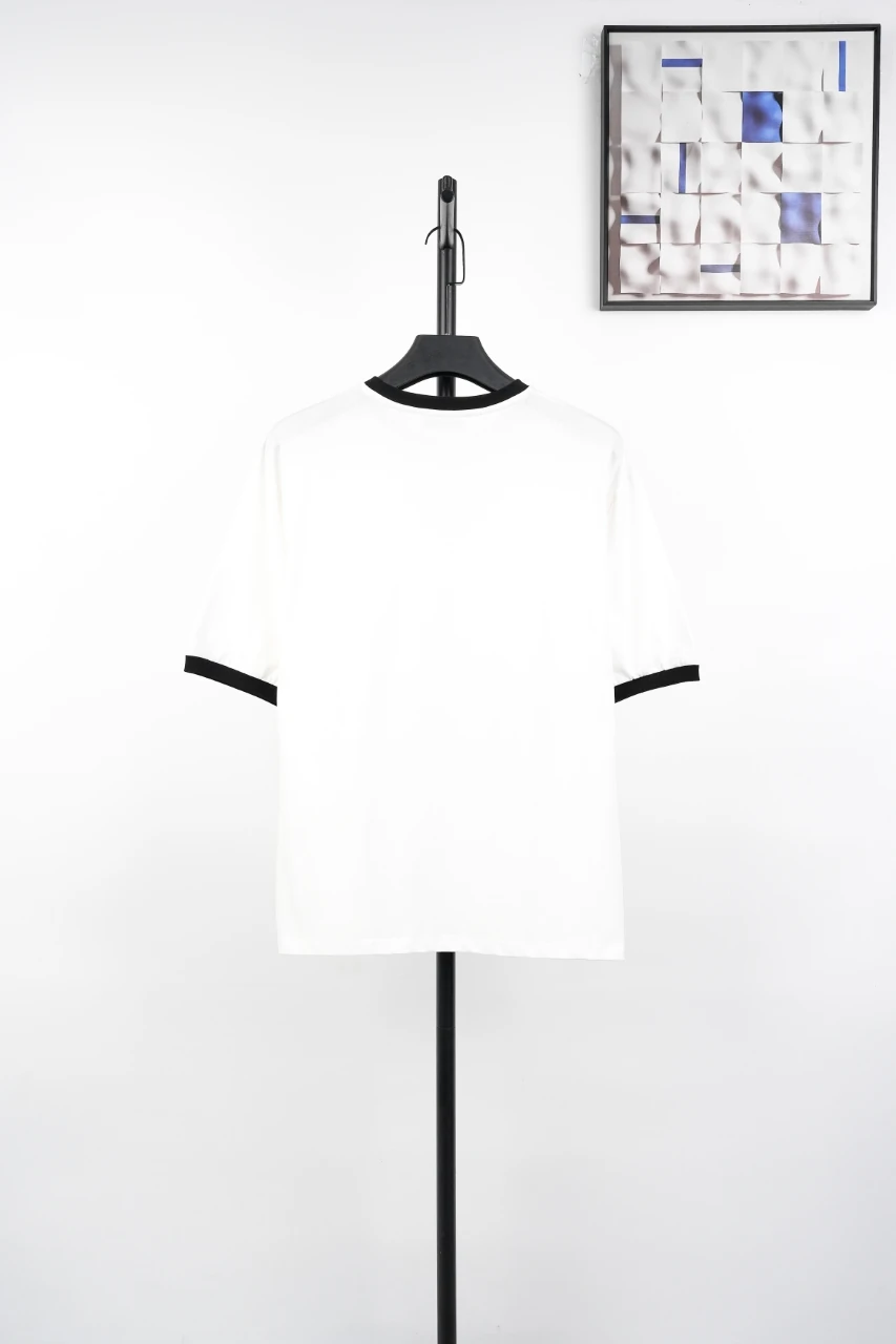 Miu Miu White Contrast Sleeve Embroidered Logo Patch T-Shirt product photo from LabelPicks