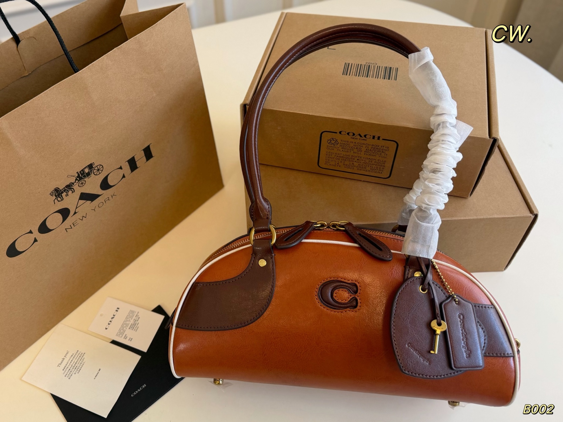 Coach Topia Color-Block Bowling Shoulder Bag