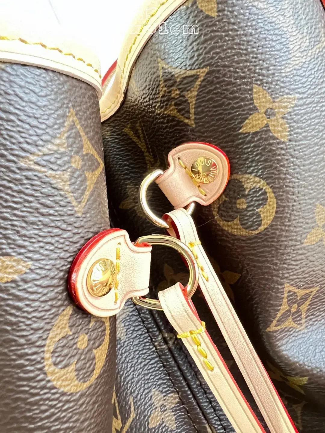 Louis Vuitton Neverfull Calfskin Tote Bag product photo from LabelPicks