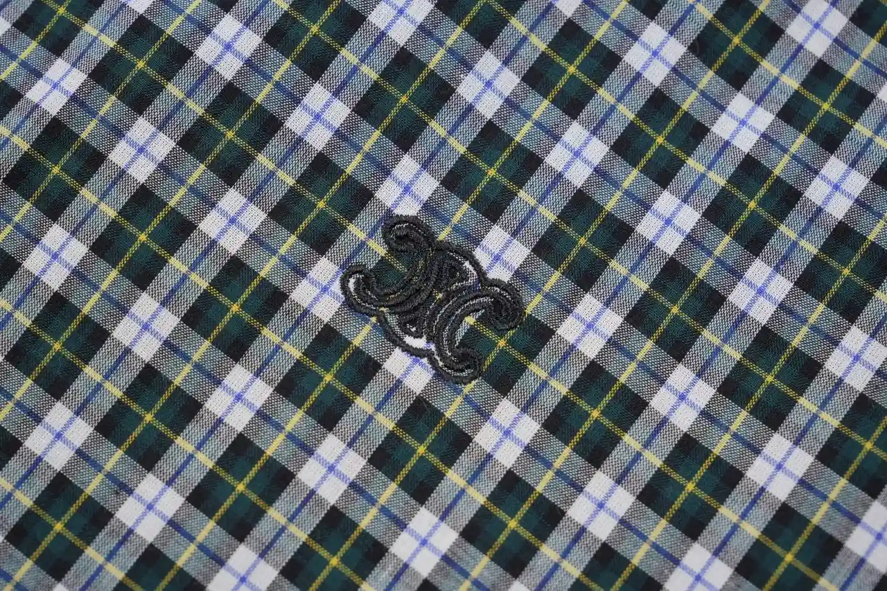CELINE Green White Plaid Triomphe Embroidered Shirt product photo from LabelPicks