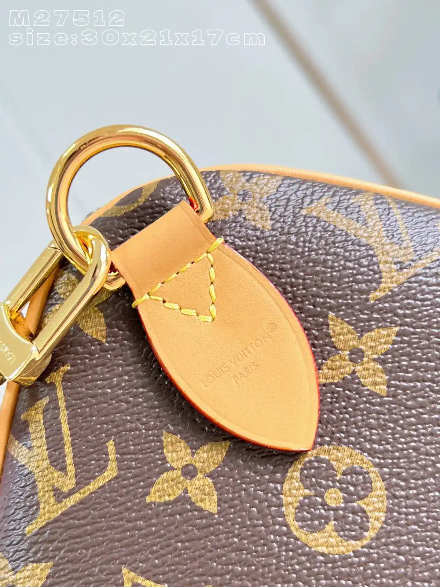 Louis Vuitton Nylon Speedy Top Handle Bag product photo from LabelPicks