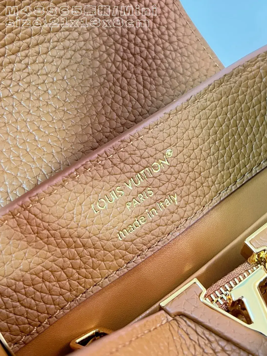 Louis Vuitton Capucines Brown Calfskin Crossbody Bag product photo from LabelPicks
