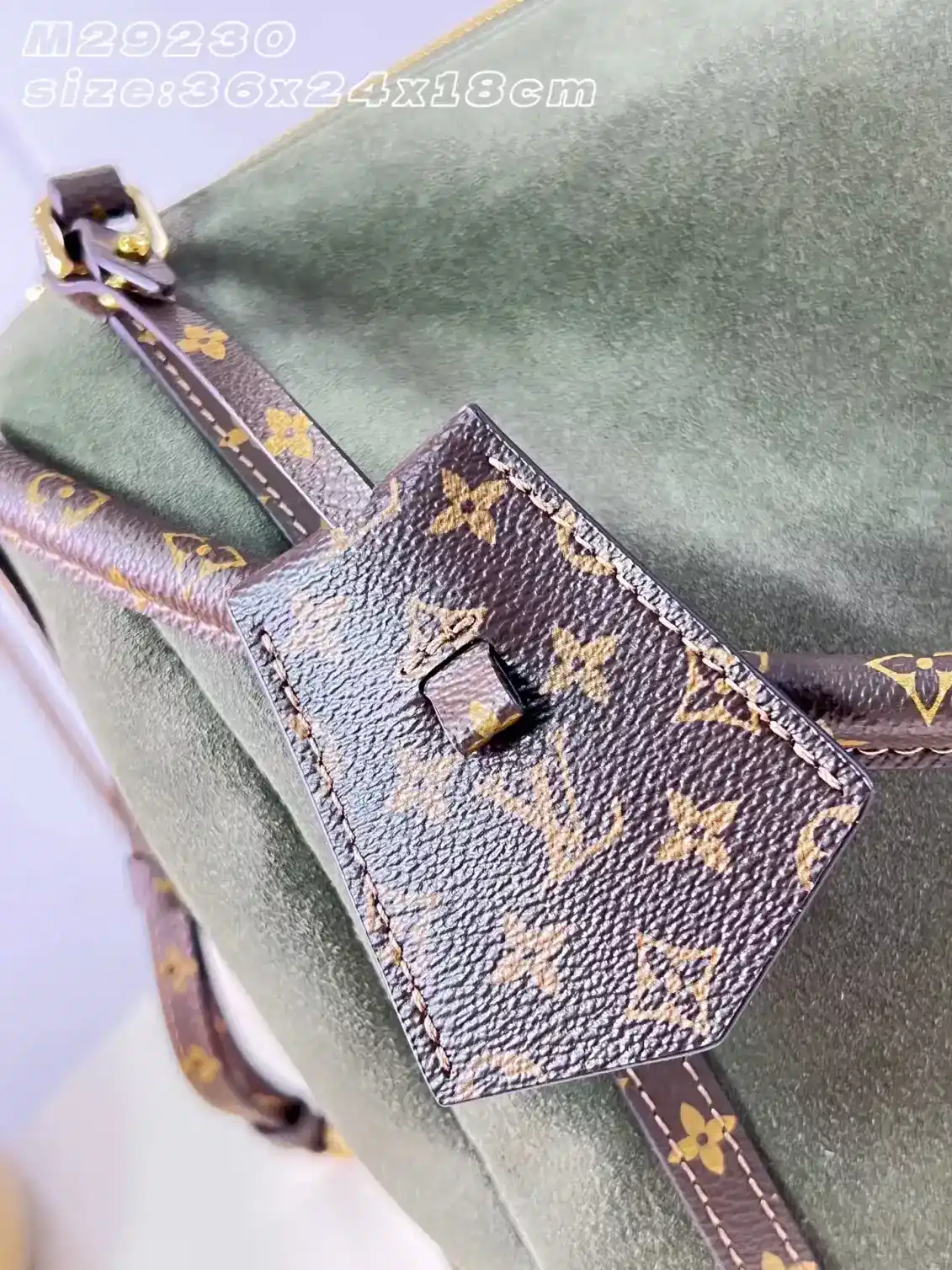 Louis Vuitton Canvas and Suede Hobo Bag product photo from LabelPicks