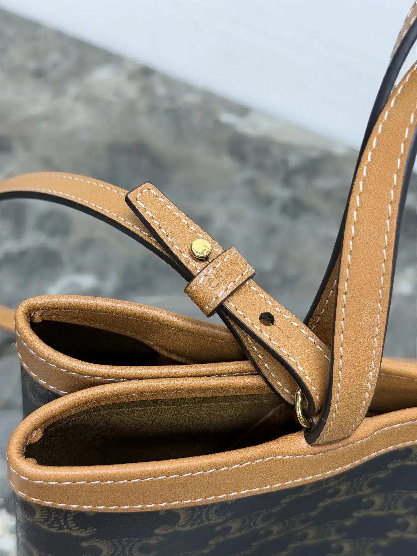 Celine Calfskin Triomphe Tote Bag product photo from LabelPicks