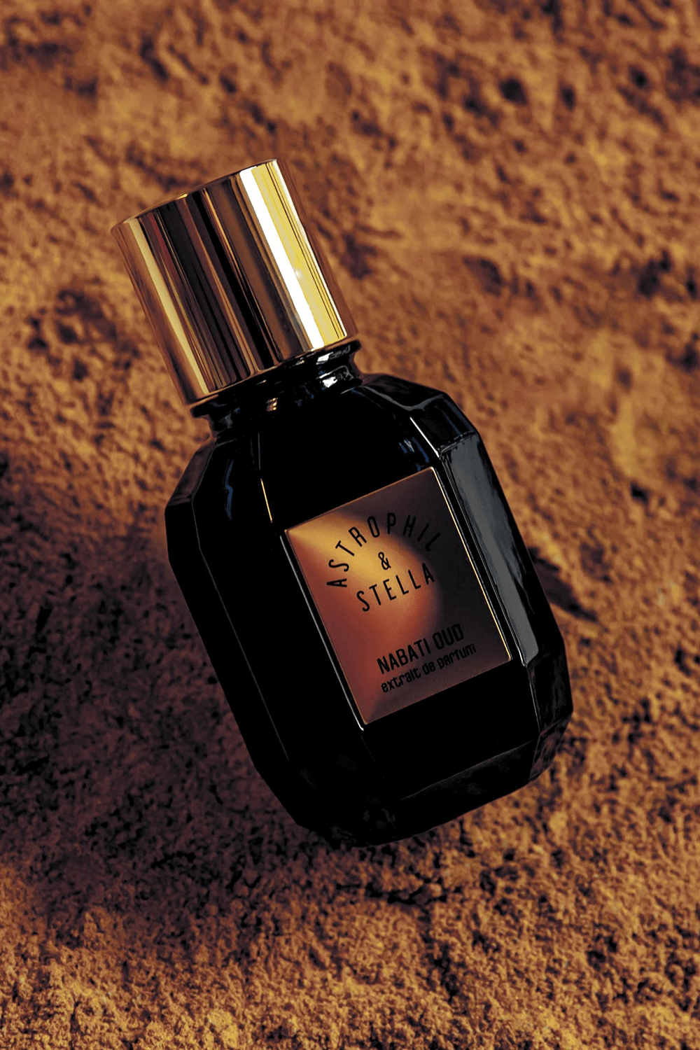 ASTROPHIL AND STELLA Nabati Oud 50 ml Astrophil X Stella