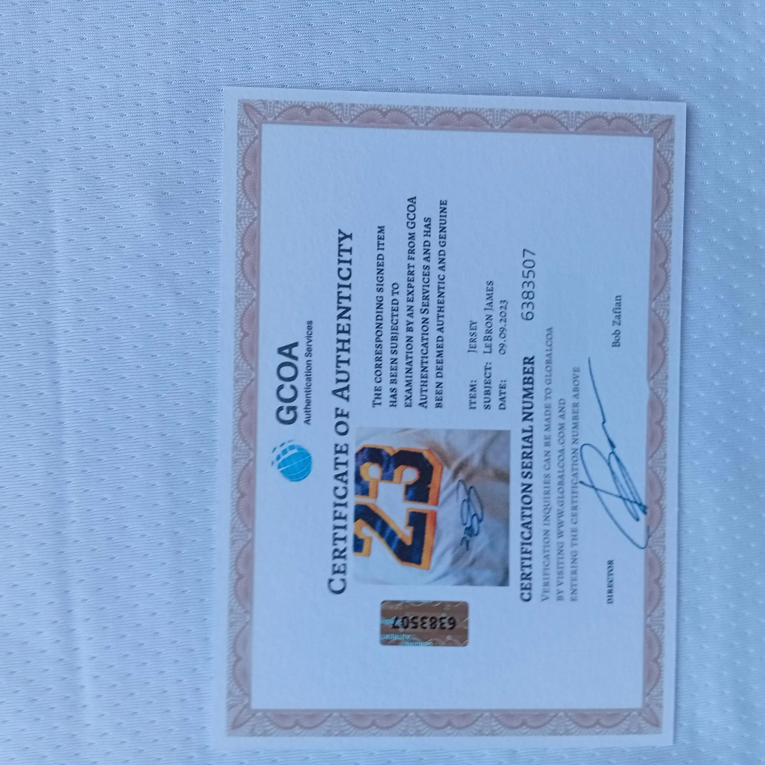 LeBron James Signed Autographed Los Angeles Lakers Basketball Jersey with COA