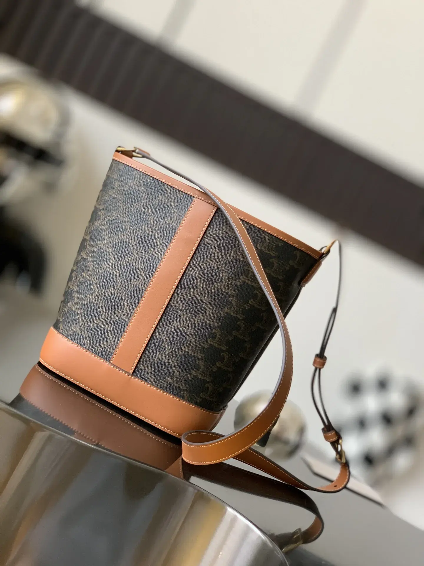 Celine Triomphe Canvas Bucket Bag product photo from LabelPicks