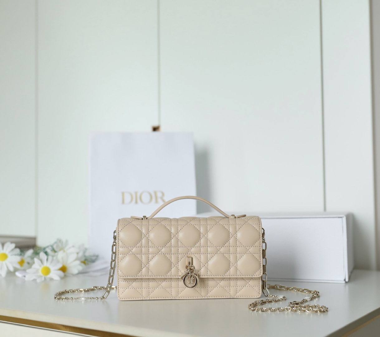 Dior Mini Chain Bag