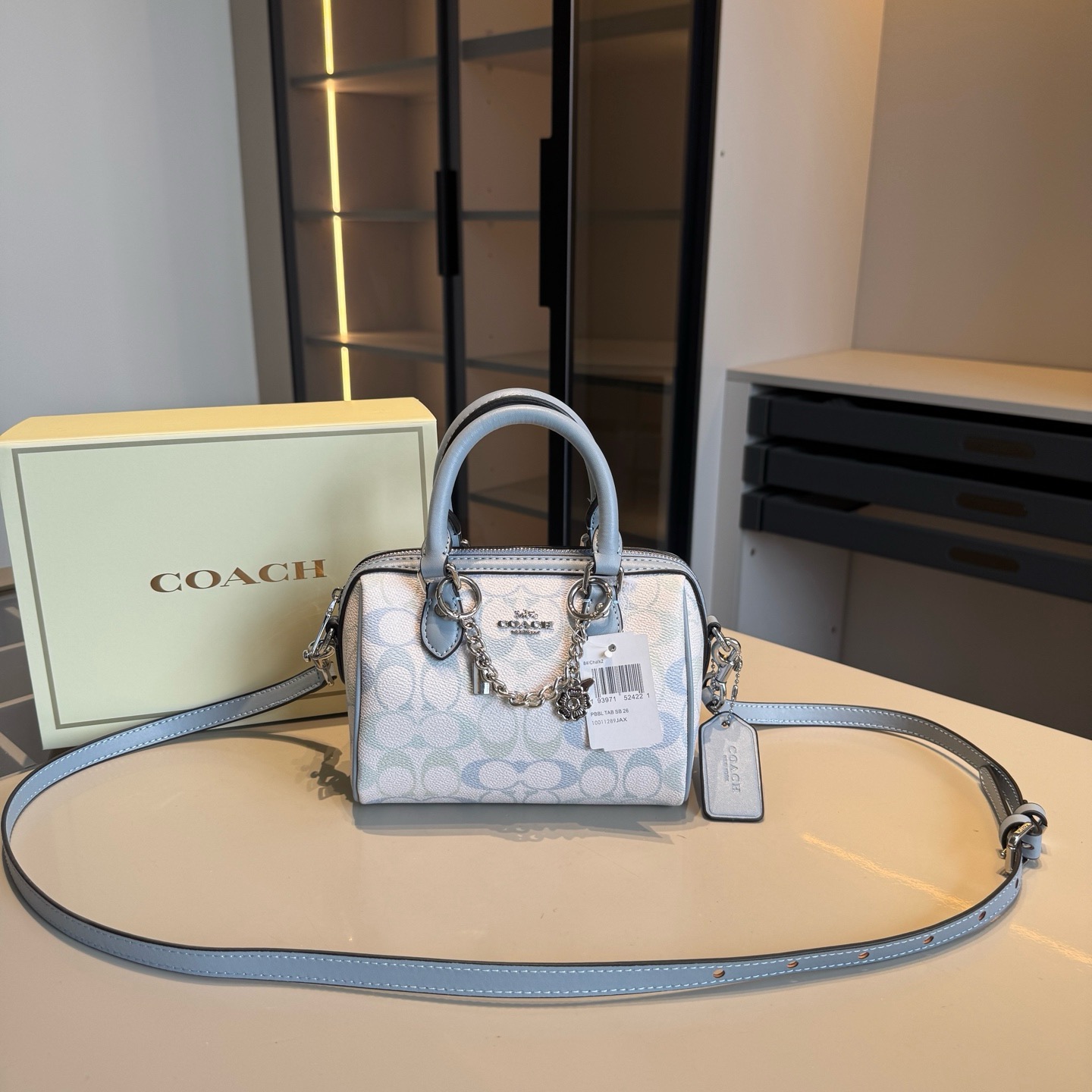 Coach Mini pillow bag