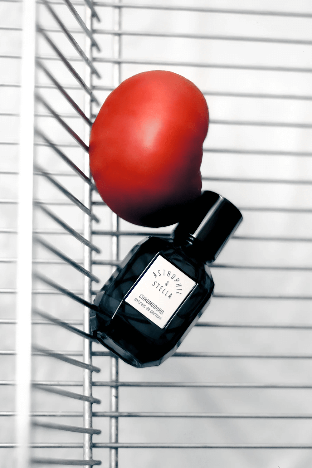 ASTROPHIL AND STELLA Chromodoro Ex. Parfum 50 ml Astrophil X Stella
