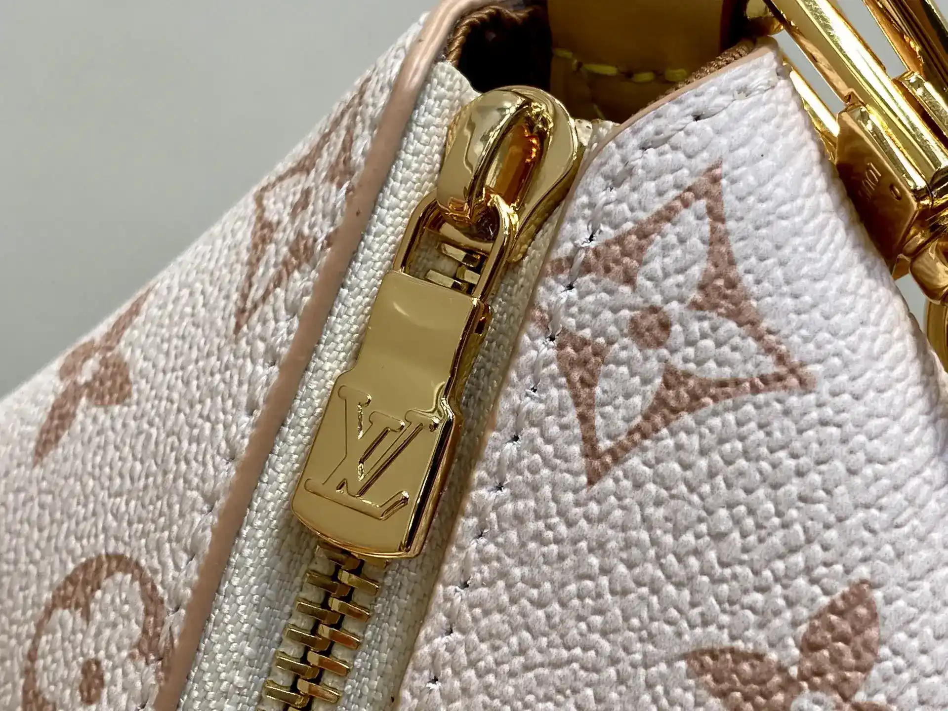Louis Vuitton Canvas and Leather Shoulder Bag product photo from LabelPicks