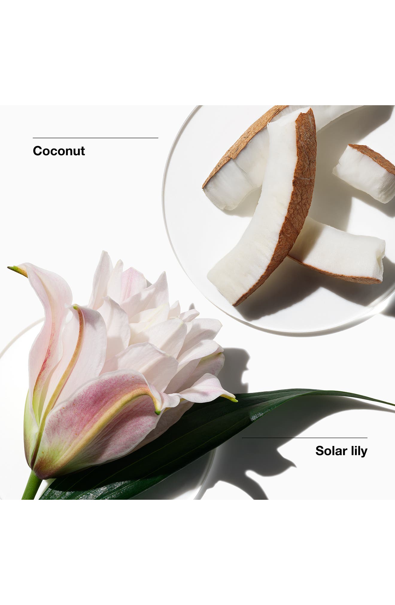 Clinique My Happy Lily of the Beach Fragrance