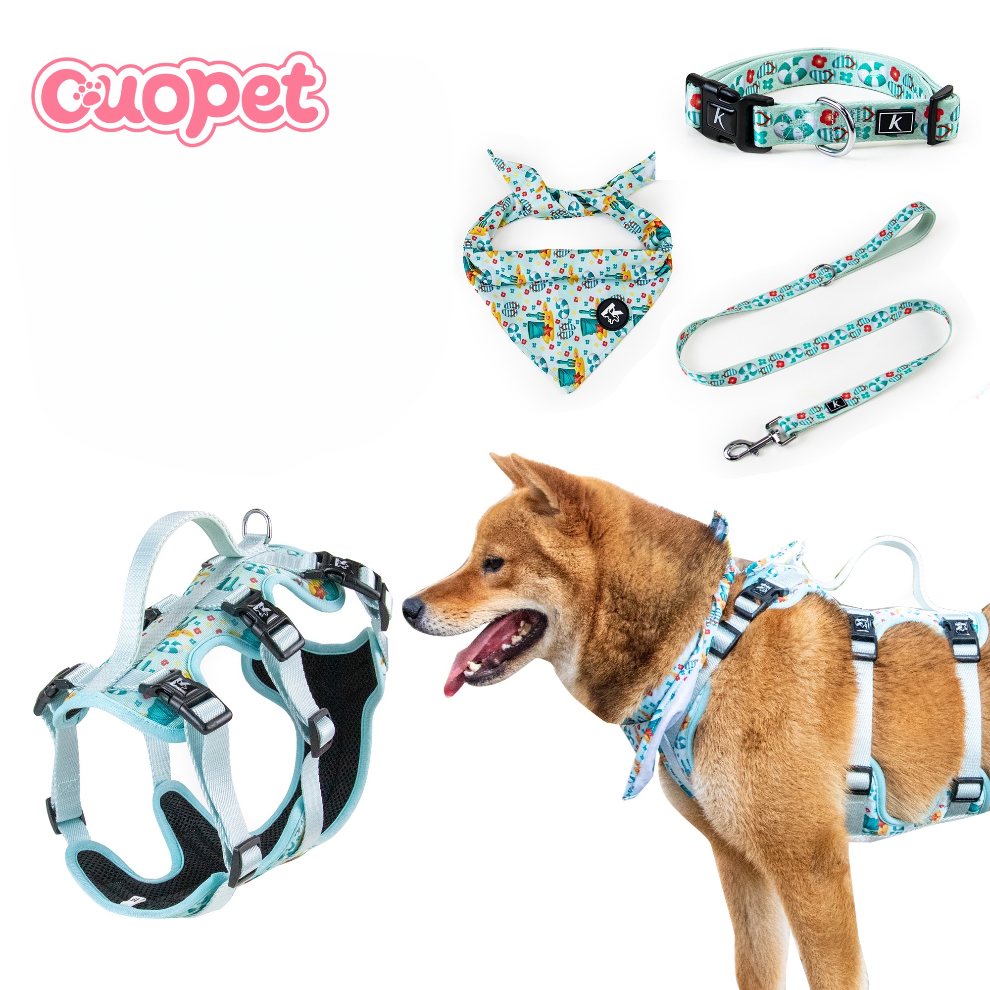 Harness Kit