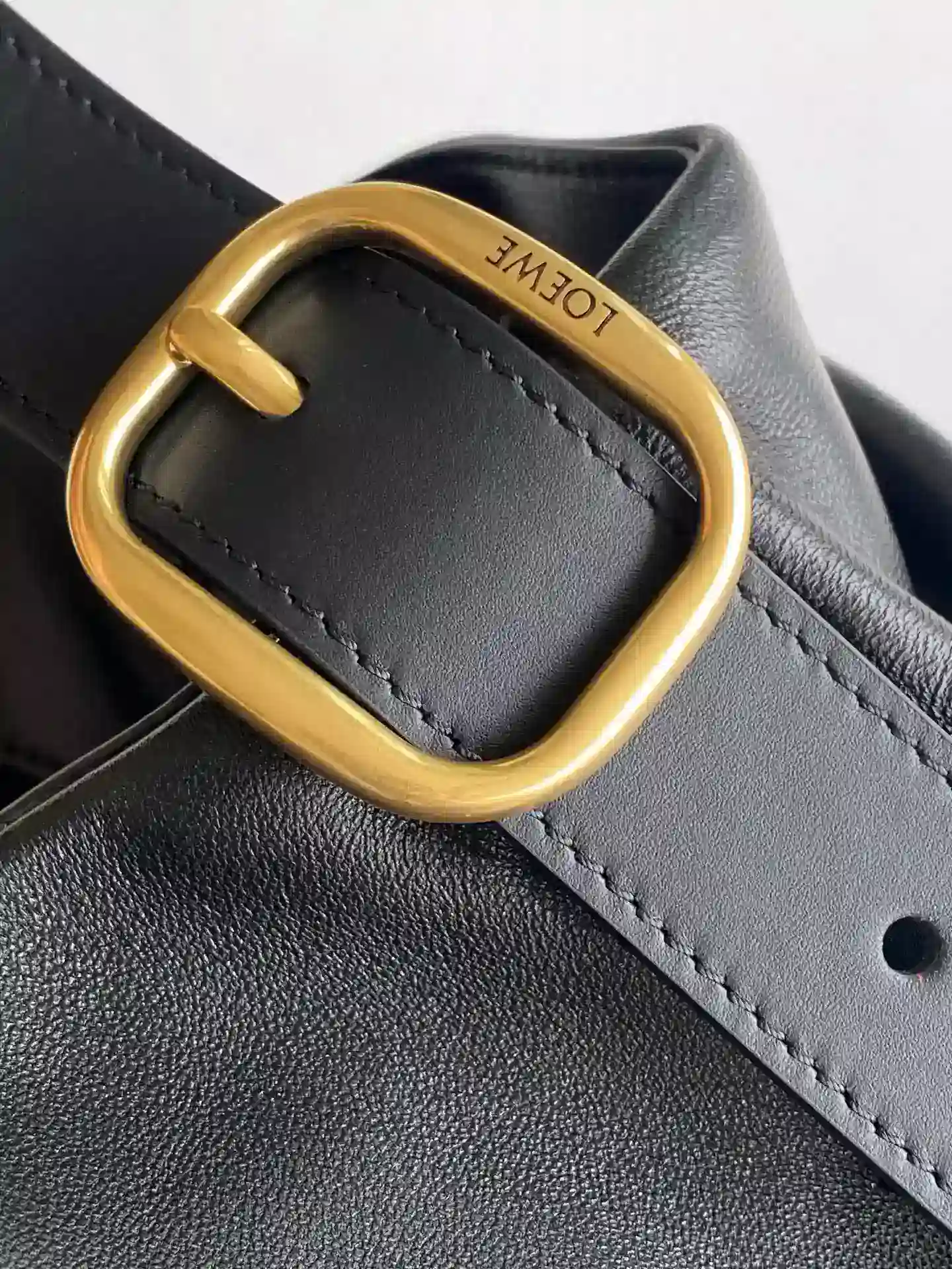 Loewe Lambskin Crossbody Bag product photo from LabelPicks