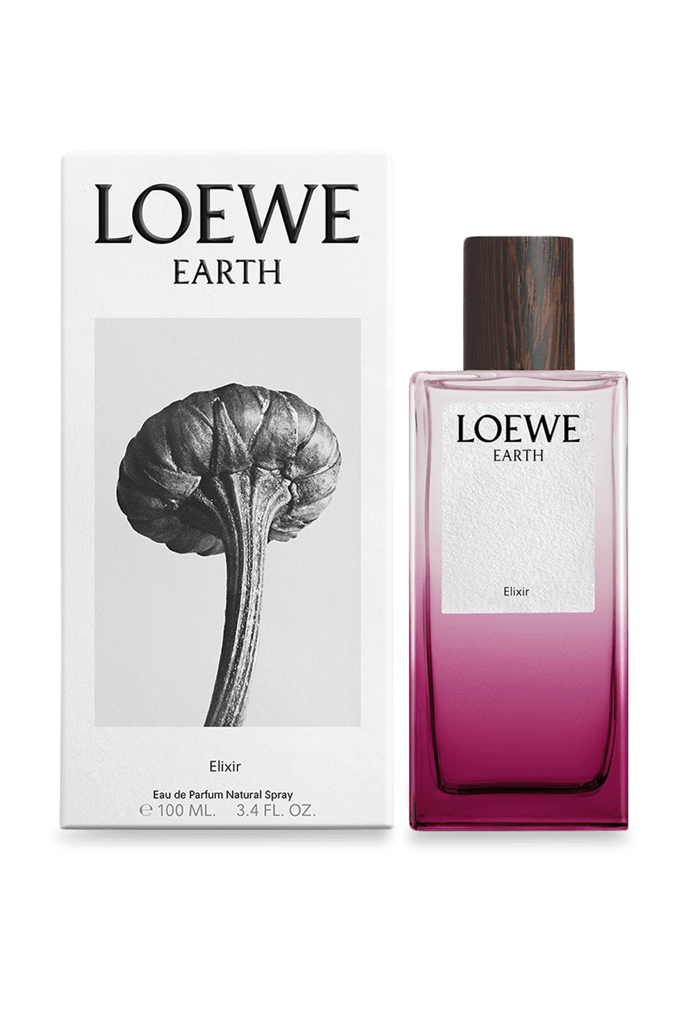 LOEWE PERFUMES LOEWE Earth Elixir 100ml