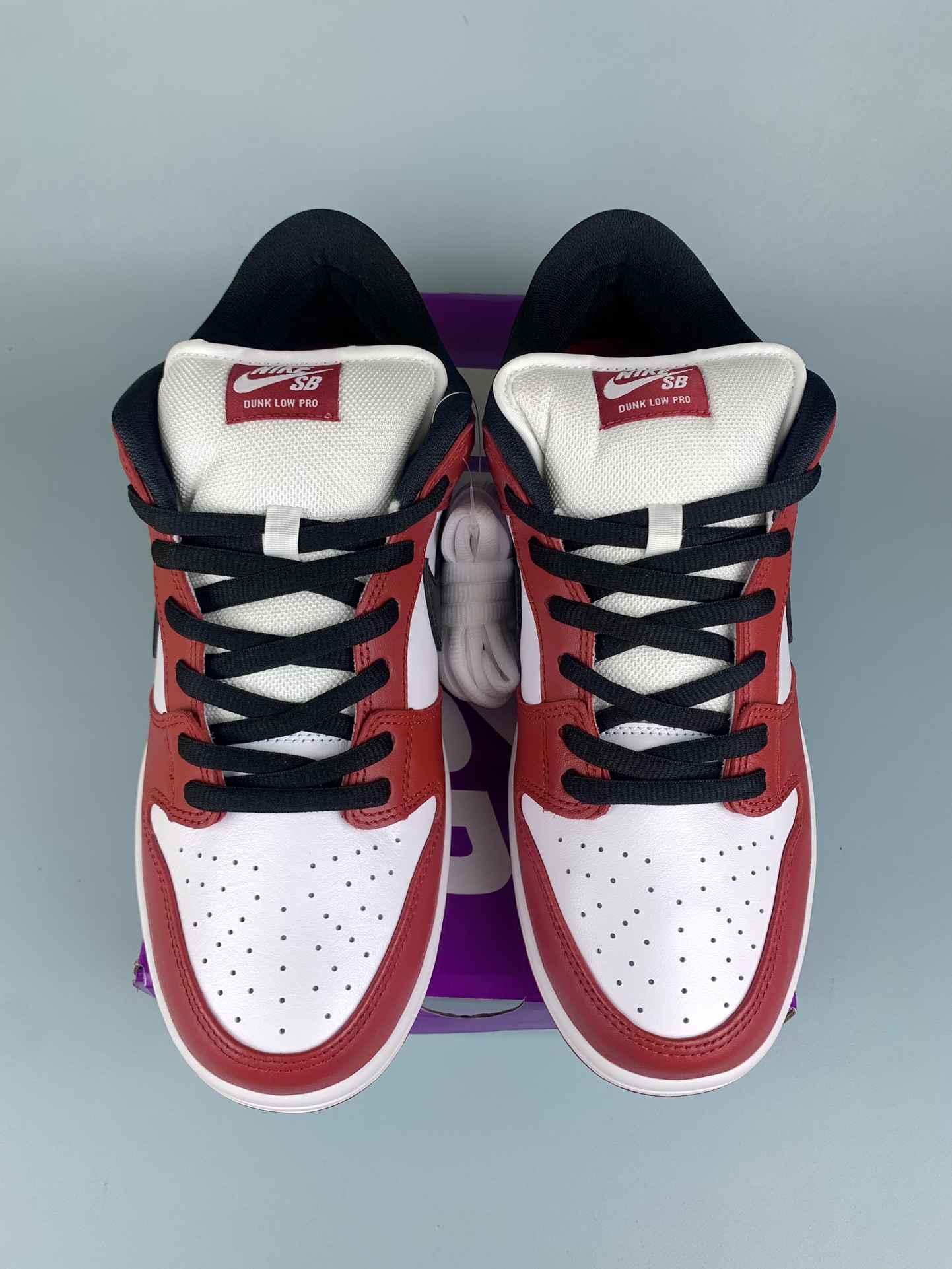 Nike SB Dunk Low Pro Shoes