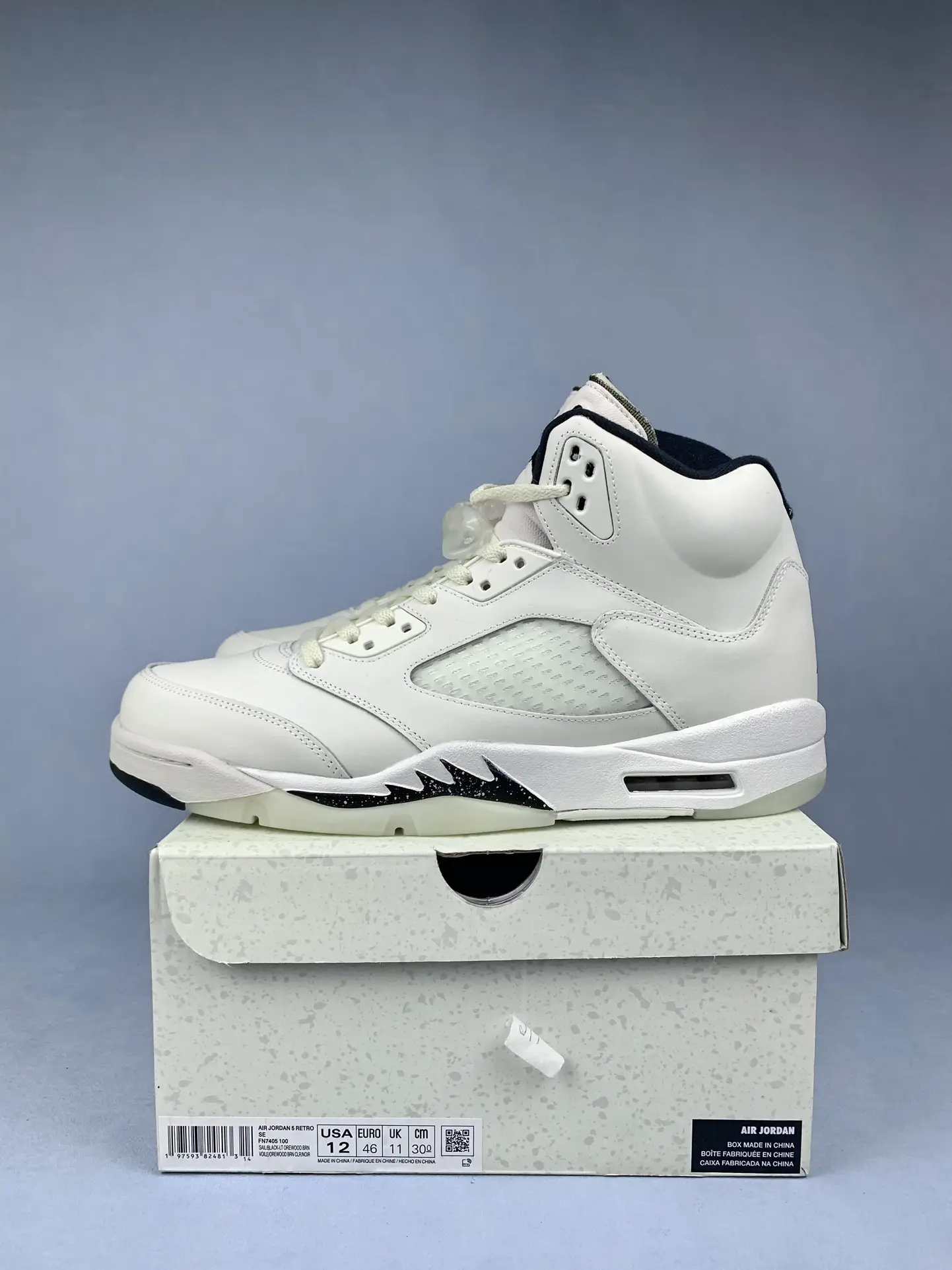 Air Jordan 5 Retro SE 