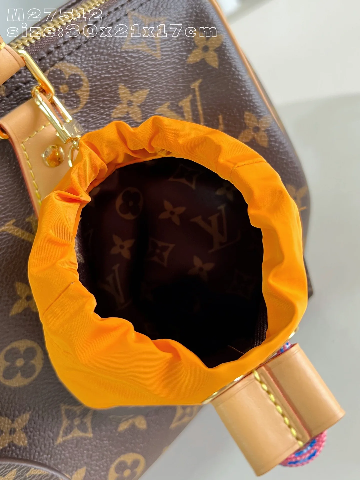 Louis Vuitton Nylon Speedy Top Handle Bag product photo from LabelPicks